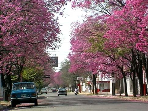 Information Guide to Parque Avellaneda, City of Buenos Aires - Properties in Parque Avellaneda